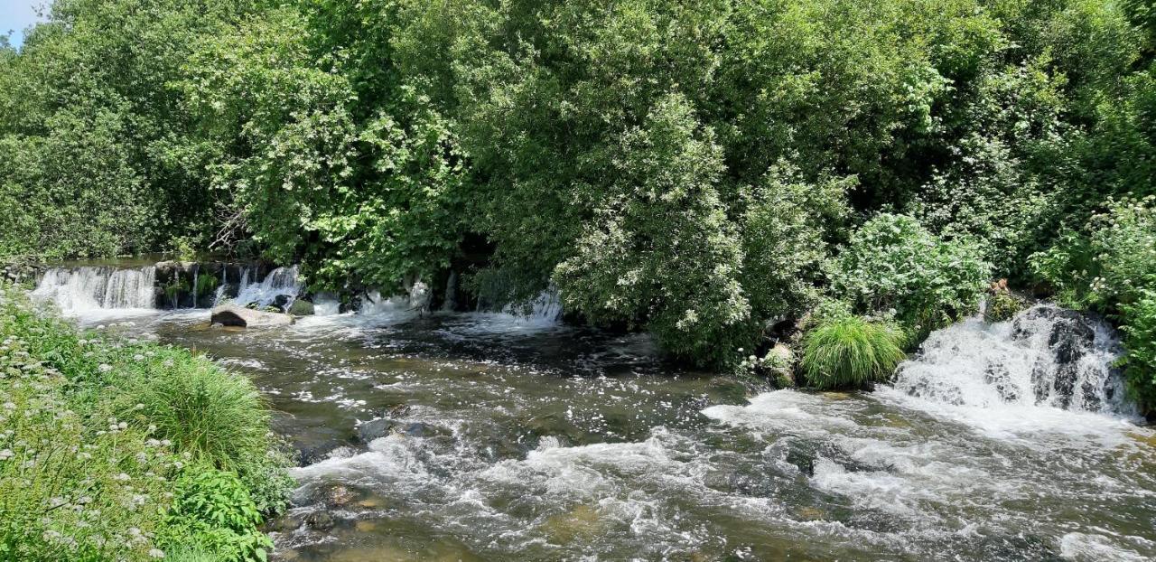 Parada  Dream Corner By Waterfalls, 20 Min To Oporto, By Porto With Love Lda المظهر الخارجي الصورة